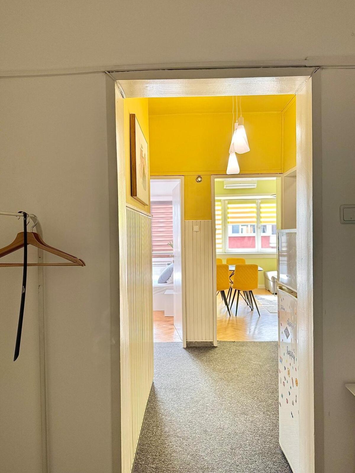 1bdr Flat In Center Of Vitoshka Blvd דירה